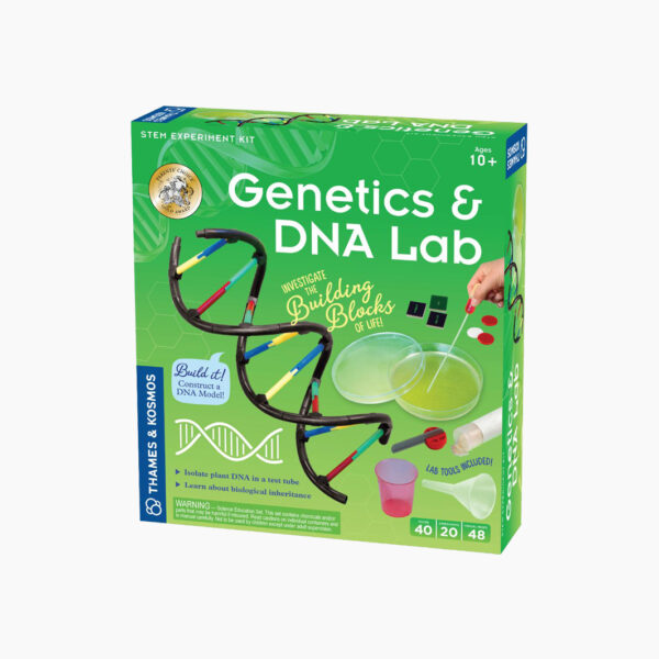 EXPLORATION: Genetics and DNA v2.0 (1618449)