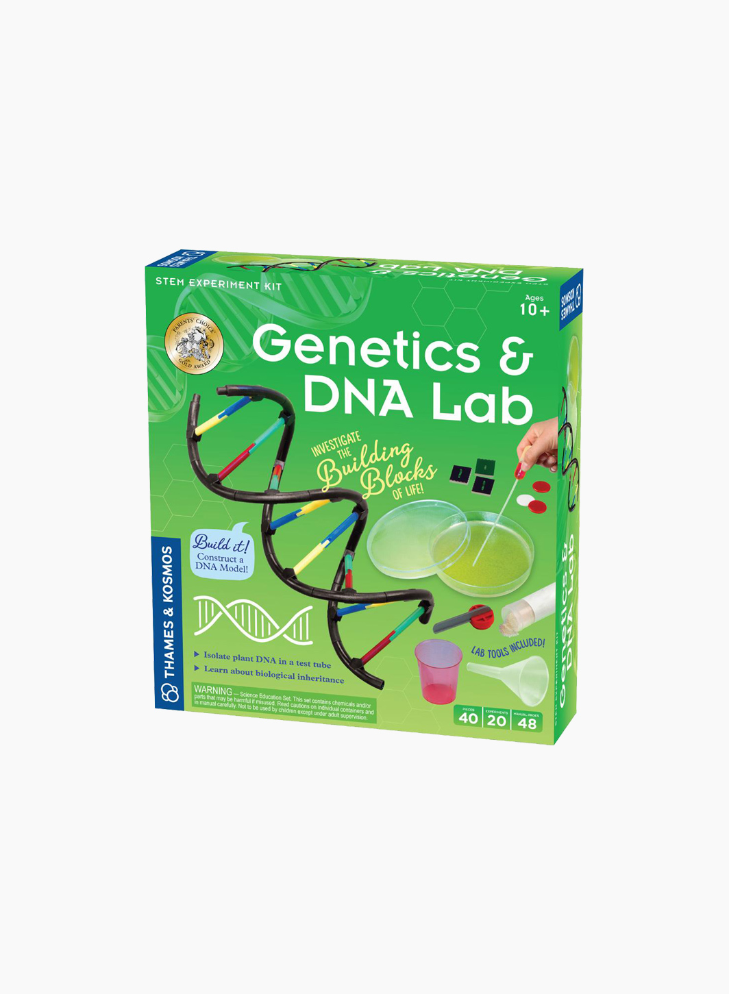 EXPLORATION: Genetics and DNA v2.0 (1618449)