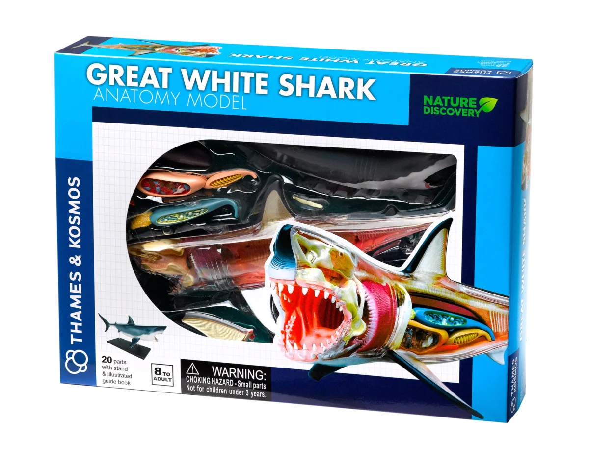 NATURE DISCOVERY Great White Shark Anatomy (261110)