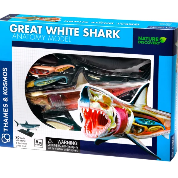 NATURE DISCOVERY Great White Shark Anatomy (261110)