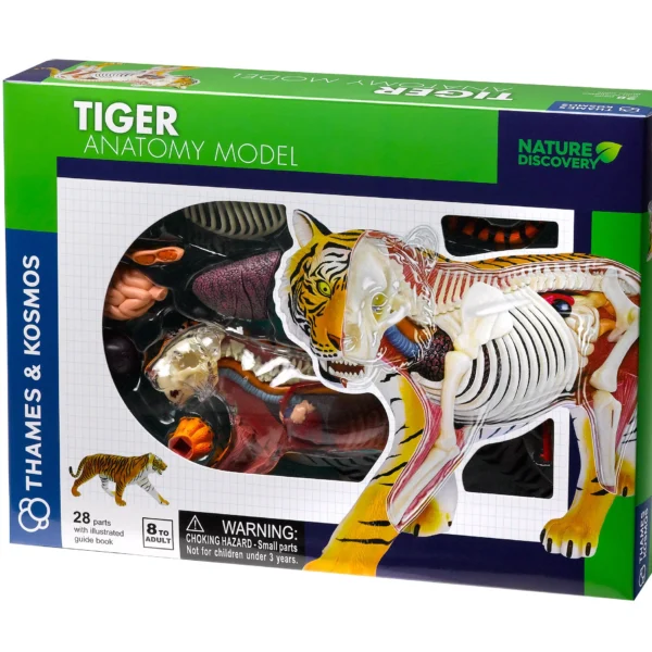 NATURE DISCOVERY Tiger Anatomy (261050)