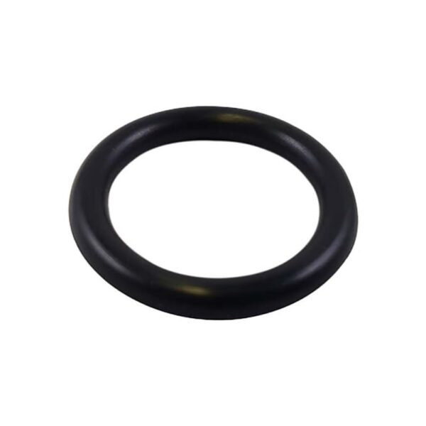 O RING 19MM